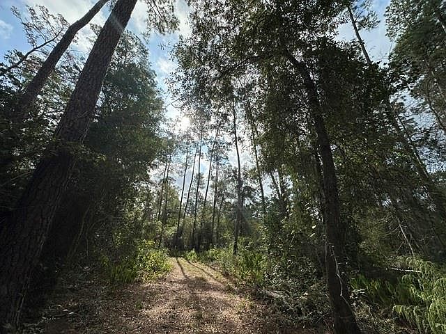 2nd image of 2 Salem Church Rd