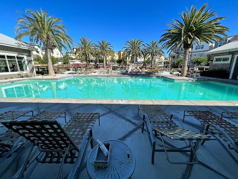 7004 Atlas Peak Dr — Photo 29