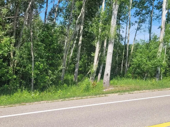 00 Ellsworth Rd, Ellsworth, MI 49729