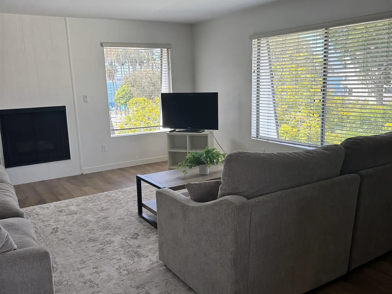 2 bed, 2.0 bath, 1036 sqft, $3,500 — Photo 4