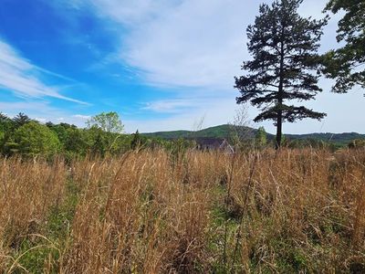 48 Water Oak Ln, Blairsville, GA, 30512