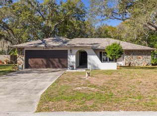 1101 Dagmar Ave, Spring Hill, FL 34606