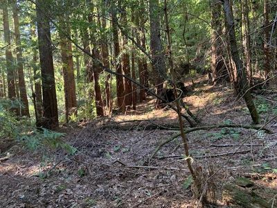 700 Tinkers Trl, Boulder Creek, CA, 95006