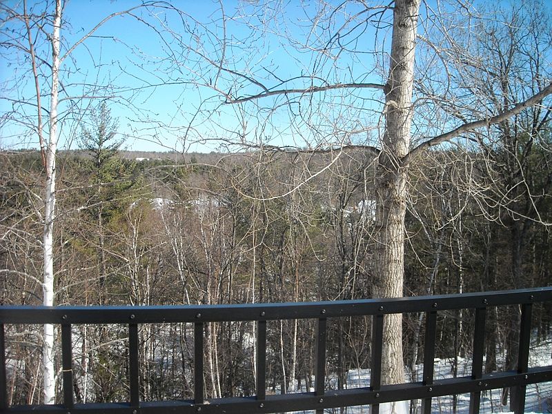 2nd image of 29 Bear Path Ln