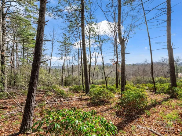 0 Winterberry Dr, Hendersonville, NC 28739
