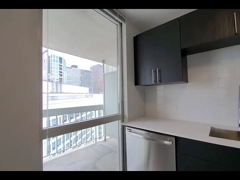 10 E Delaware Pl #21B — Photo 5