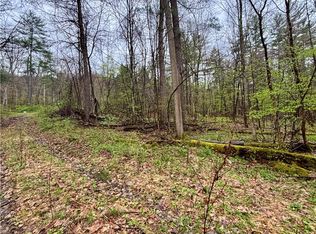 2093 Scott Rd, Lindley, NY 14858