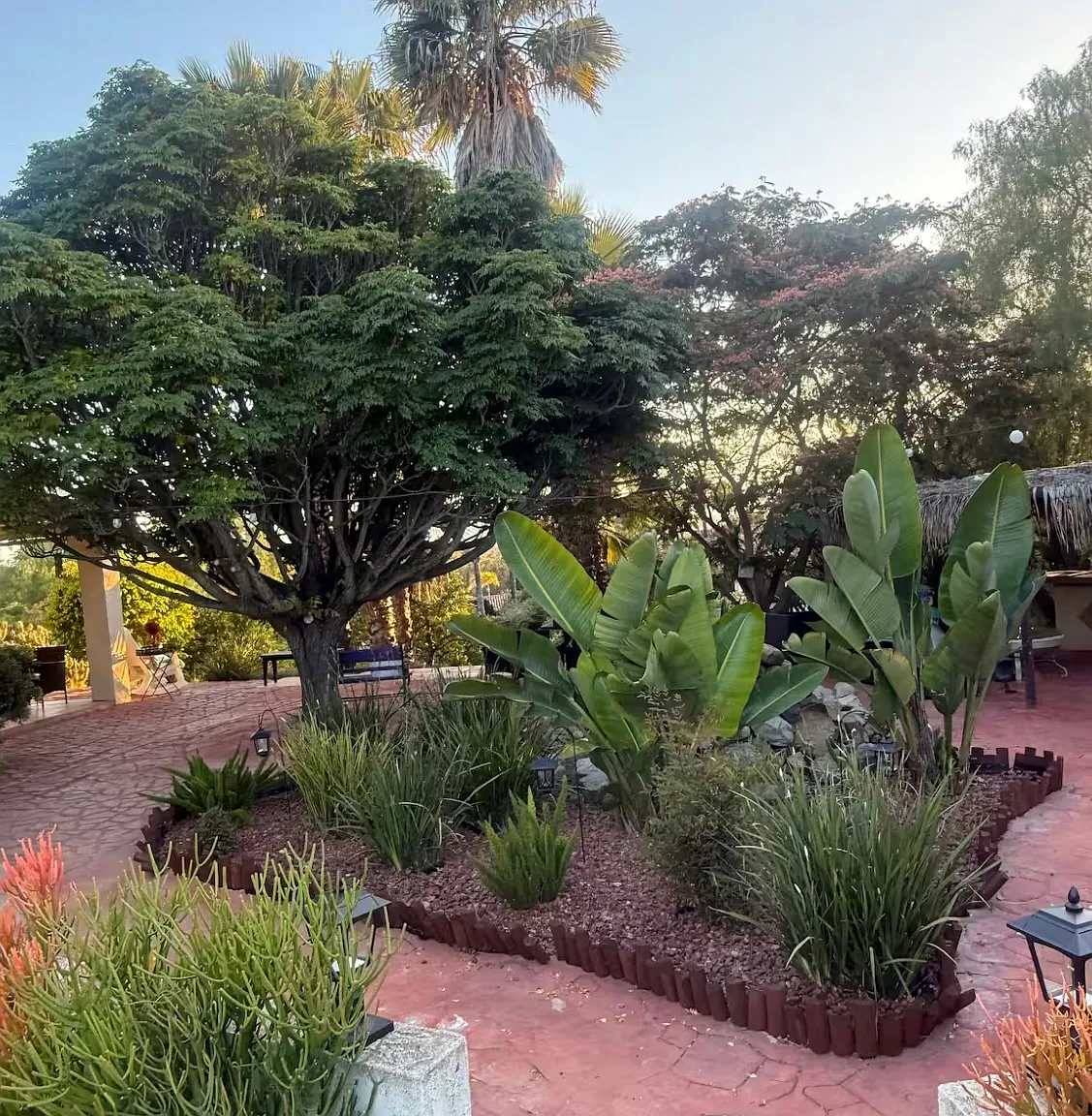 Rosa Way, Fallbrook — Photo 3