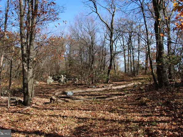 Bear Trl, Winchester, VA 22602