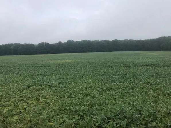 4719 W Lake Montcalm Rd, Six Lakes, MI 48886