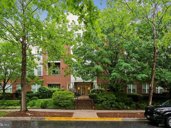 501 King Farm Blvd APT 206, Rockville, MD 20850