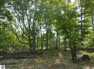 Maxey Rd, Arcadia, MI 49613