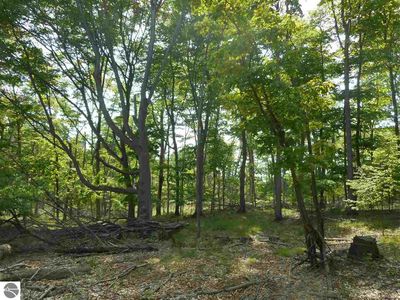 Maxey Rd, Arcadia, MI, 49613