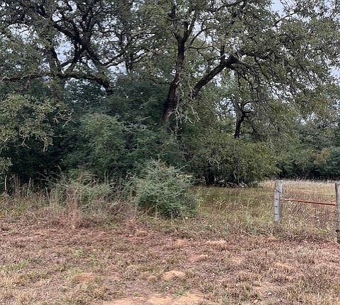 2nd image of County Road 316