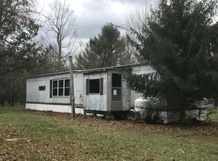 211 W 16th St, Baldwin, MI 49304