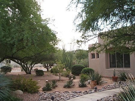 1st image of 1313 W Saddlehorn Dr