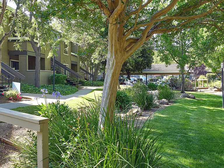 Monte Vista Apartments — Photo 23