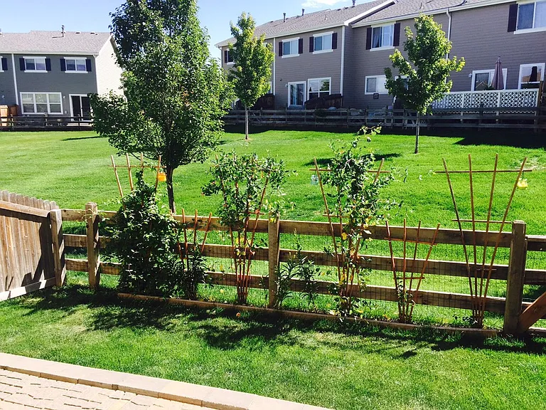 359 Montgomery Dr — Photo 11