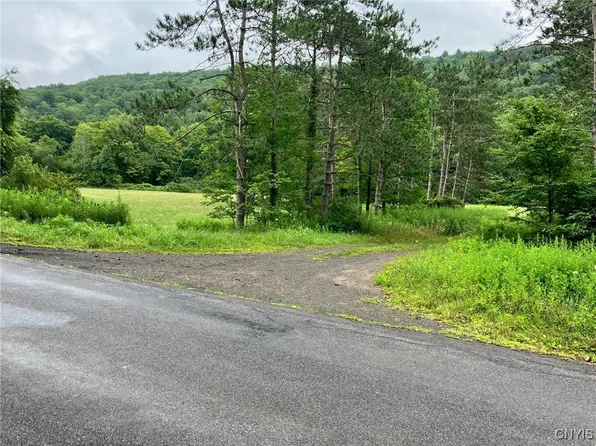0 Roods Creek Rd, Hancock, NY 13783