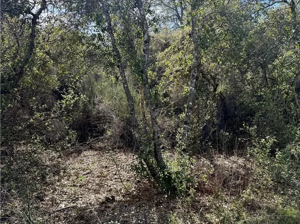6430 Plunkett Ln, Kelseyville, CA 95451