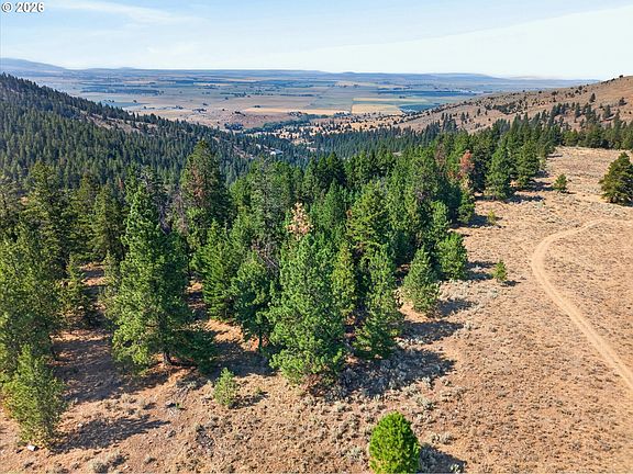 5th image of 0 Washington Gulch Rd #3300