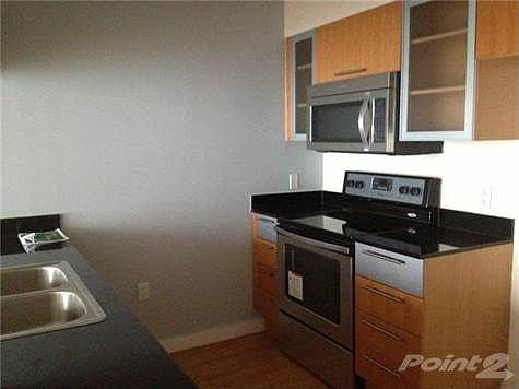 2nd image of 1750 N Bayshore Dr APT 3506