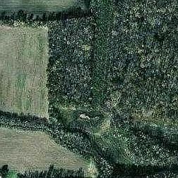 2nd image of 13790 Plank Rd