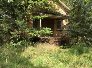 4979 E Nickleplate Rd, Ionia, MI 48846