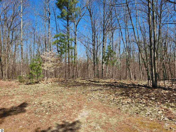 0 Big Bear Trl NE, Kalkaska, MI 49646