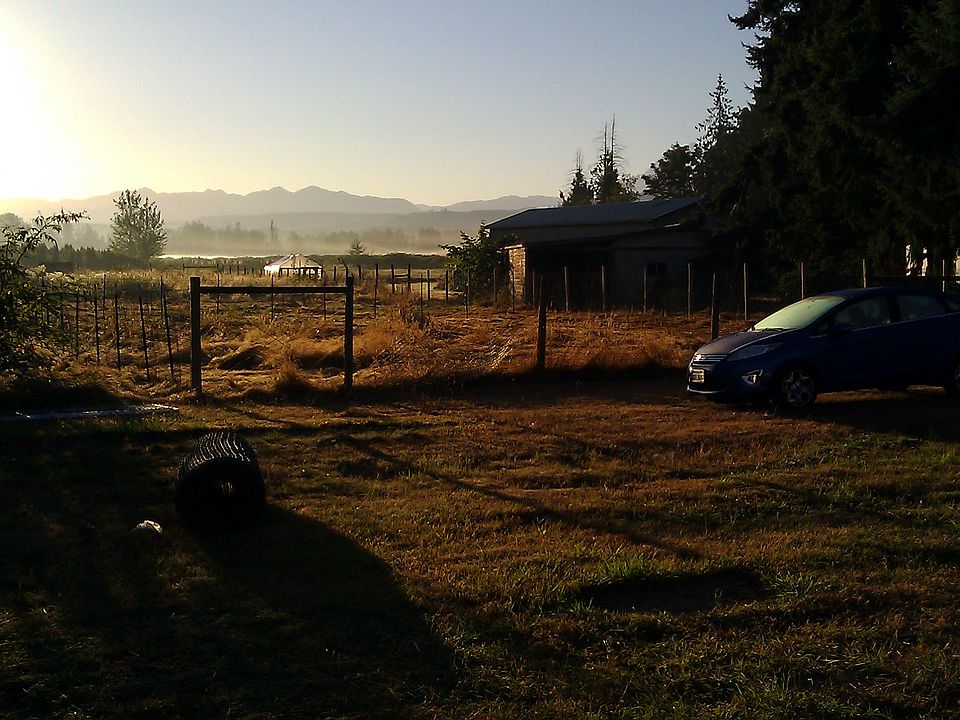 View from back porch