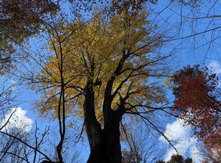 Vl S Eddy Creek Rd, West Branch, MI 48661