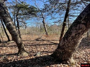 1313 Zone Ridge Ln, Yellville, AR 72687