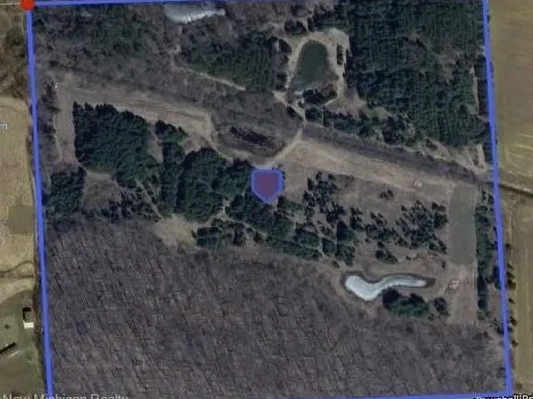 0 Townhall Rd, Melvin, MI 48454