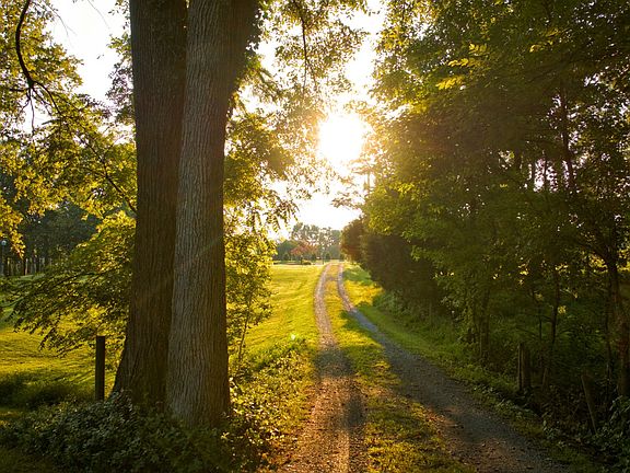 2nd image of 1665 Palmer Rd