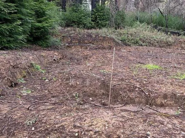 228 Oakwood Dr, Boulder Creek, CA 95006