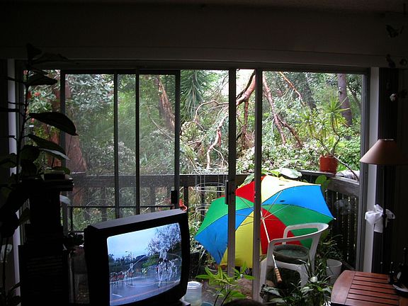 View from livingroom