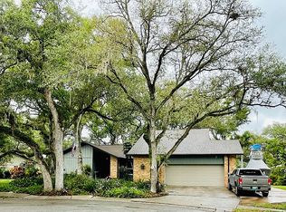 7 Hammock Pl, Safety Harbor, FL 34695