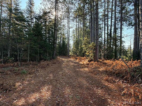 4th image of Tbd River Rd