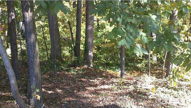1st image of 1563 Brannon Cir