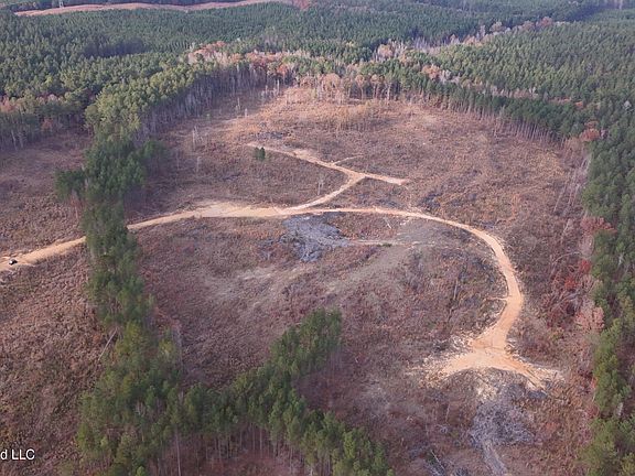4th image of Old Trace Rd