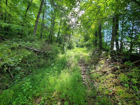 0 Munday Rd, Elizabeth, WV 26143