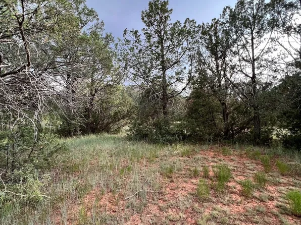 12 Lower La Joya Rd, Glorieta, NM 87535