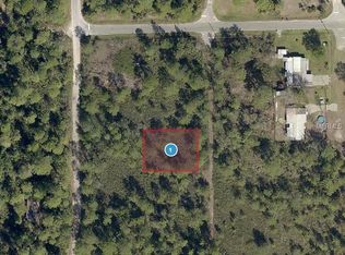 Virginia St, Paisley, FL 32767