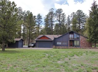 143 Conifer Dr, South Fork, CO 81154