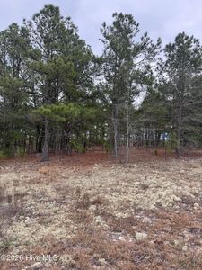 138 Batton Road, Hamlet, NC, 28345