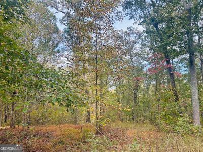 16 Turkey Ct LOT 47, Waco, GA, 30182