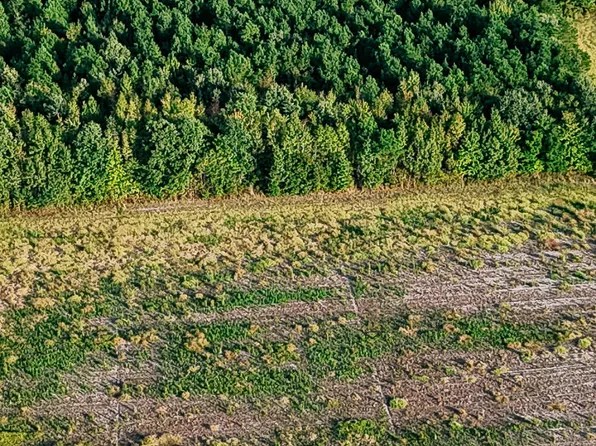 Tbd Boat Ramp Road, Hertford, NC 27944