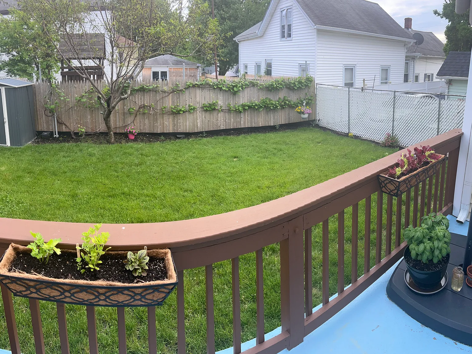 4 bed, 2001 sqft, $3,500 — Photo 4