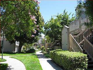 4th image of 382 Coyote Creek Cir