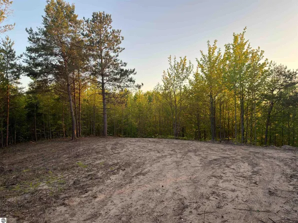 3779 Scholl Rd, Mancelona, MI 49659